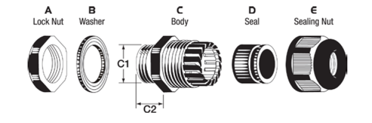 specification-6